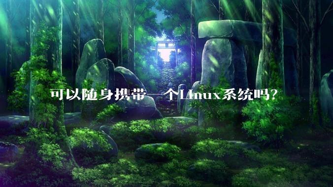 可以随身携带一个Linux系统吗？